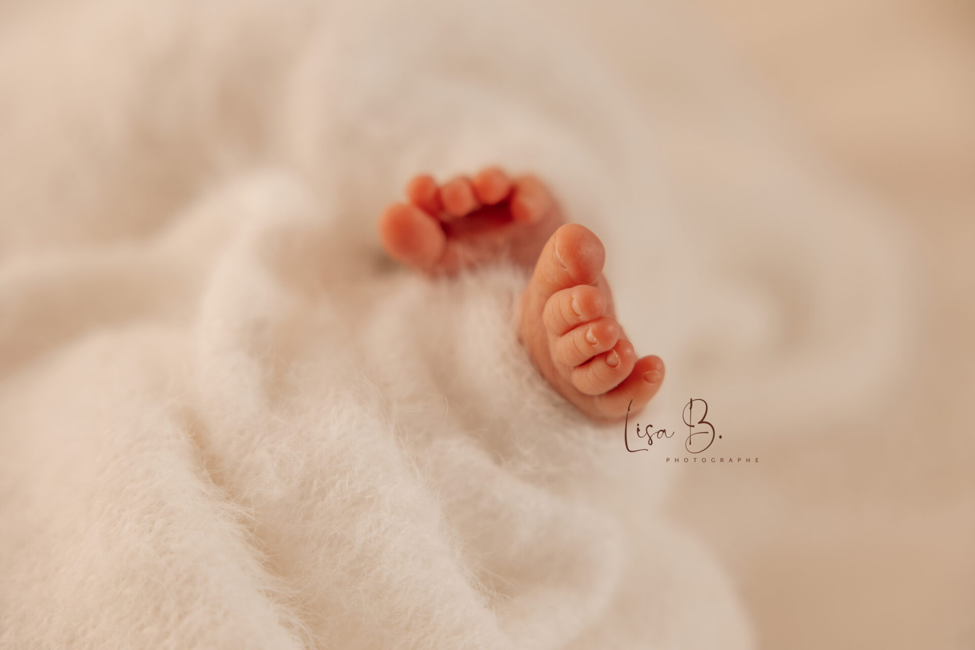 photographe-nouveau-ne-bebe-naissance-auneau-chartres-rambouillet